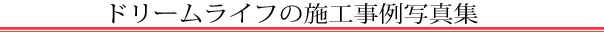 h[Ct̎{Hʐ^W