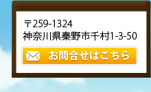 259-1324_ސ쌧`s瑺1-3-50 